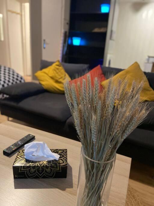 - Grand Proche Parc Darcy & Gare Apartment *